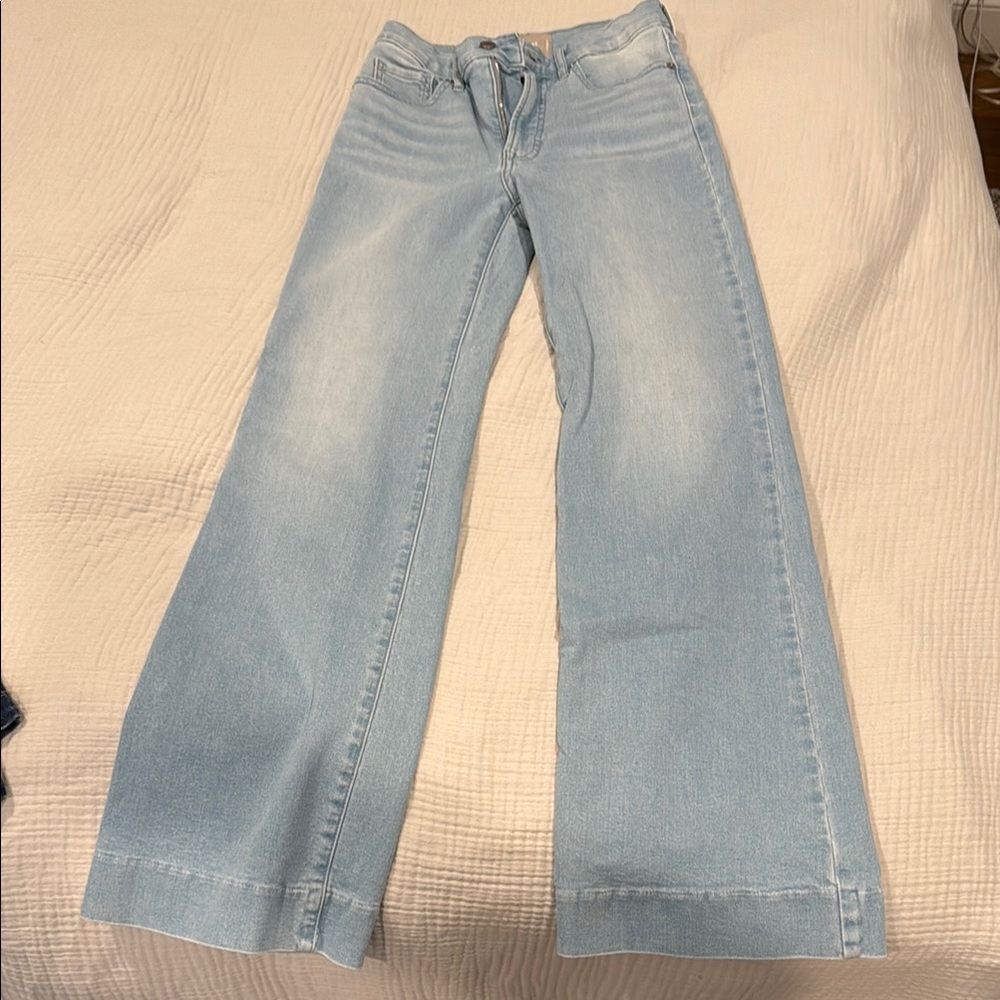 Everlane Blue Flare Wide Leg Jeans